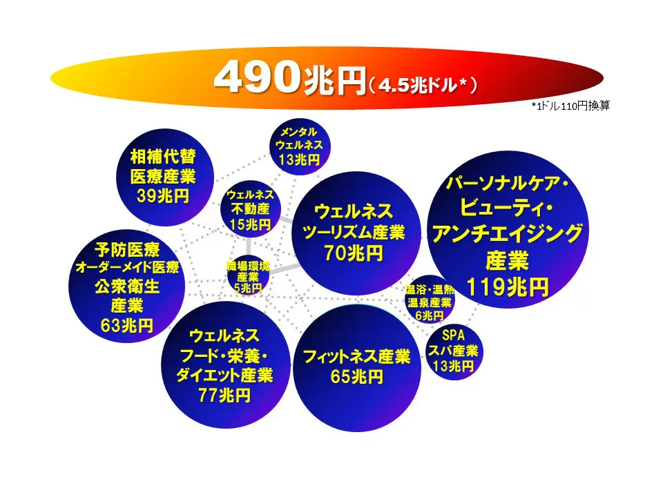 ウェルネスとは 国立大学法人琉球大学 ウェルネス研究分野